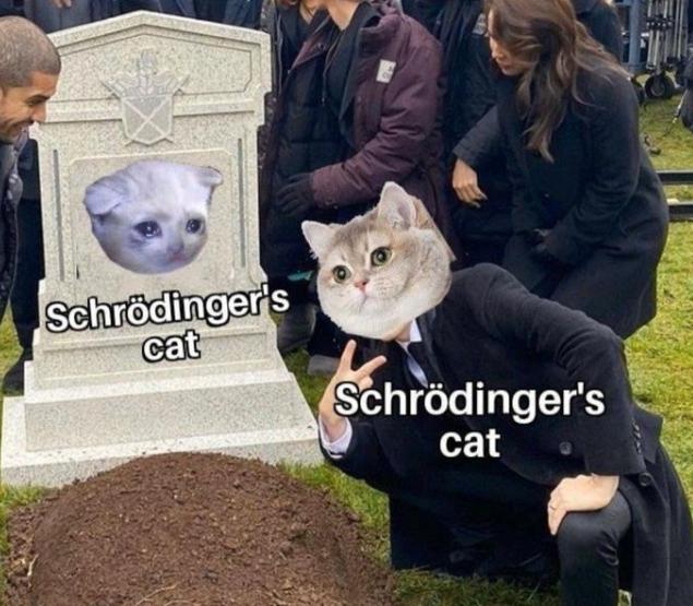Schrödinger's Funeral: Simultaneously Dead And Attending