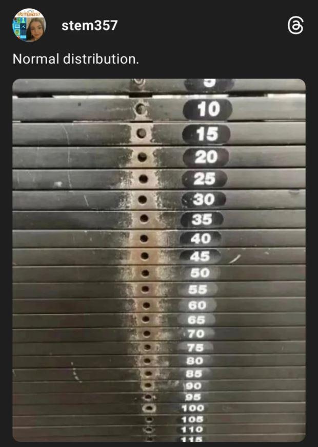 Gym Bros' Normal Distribution