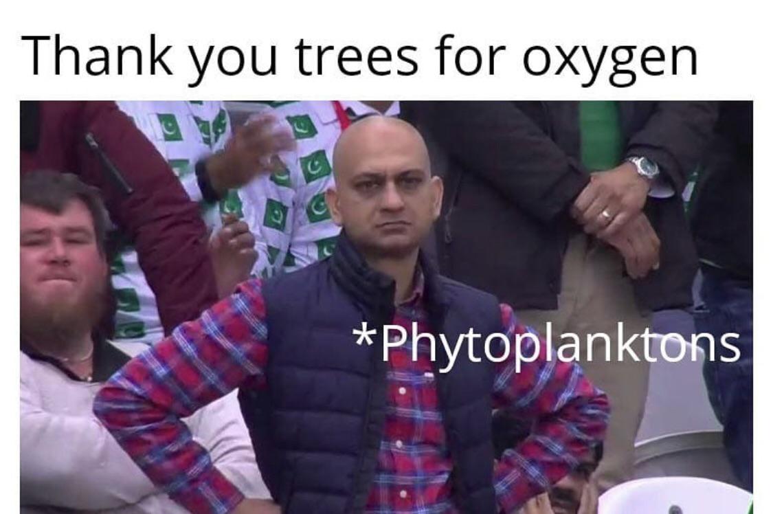The Real Oxygen MVPs