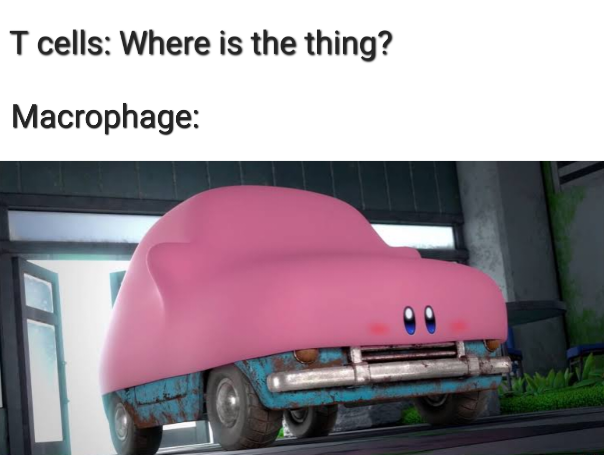 Hungry Hungry Macrophages