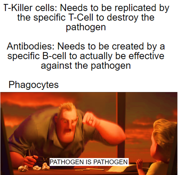 Phagocytes: The Indiscriminate Bouncers Of Your Immune System