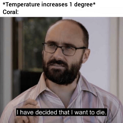All My Homies Hate Coral Bleaching