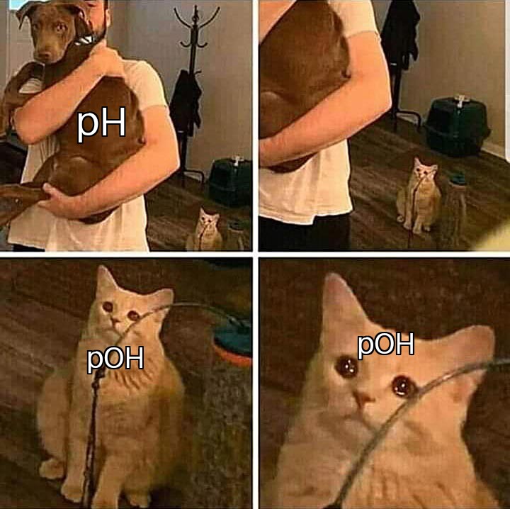 Don't Forget POH