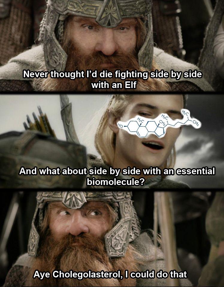 Cholegolasterol: The Fellowship Of The Ring Structure