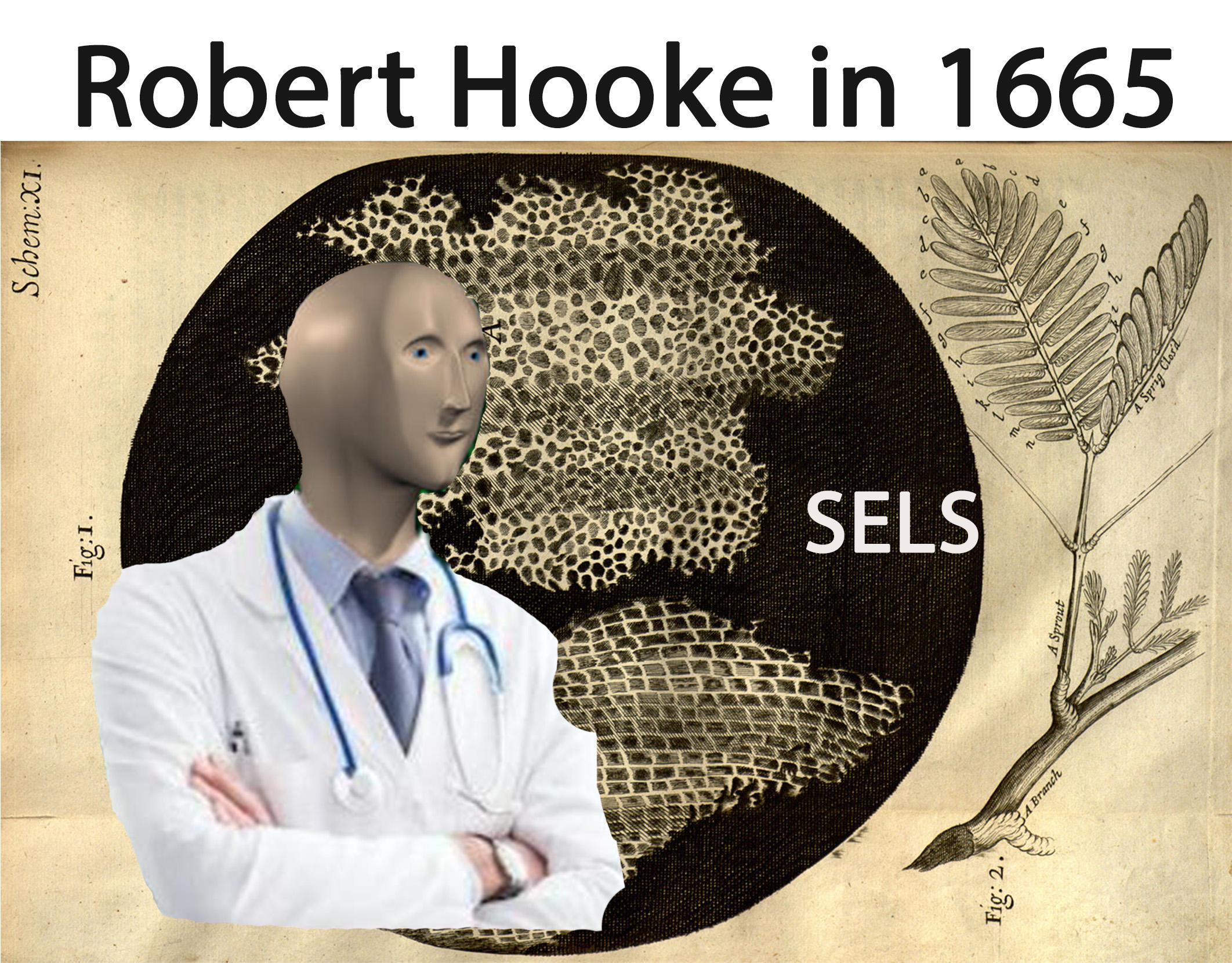 Cellular Real Estate Agent