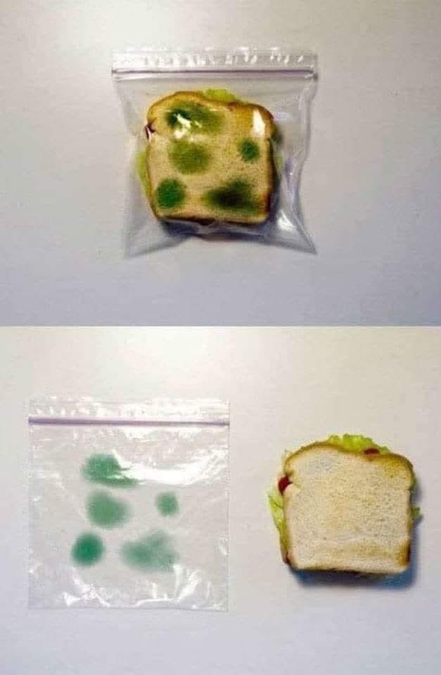 Just A Life (Science) Hack!