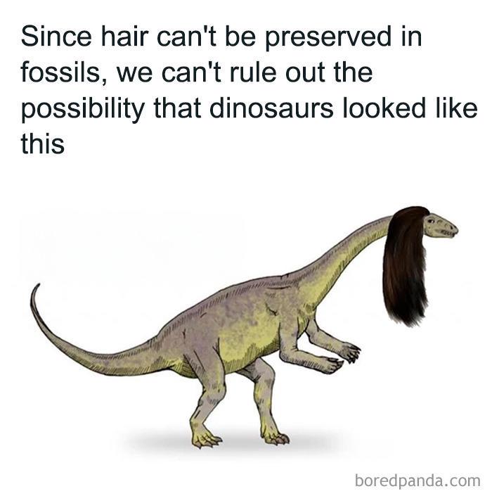 Fabulous Fossil Uncertainty