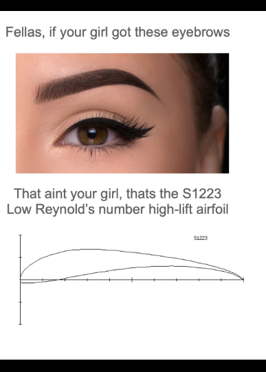 When Your Eyebrows Are Aerodynamically Optimal