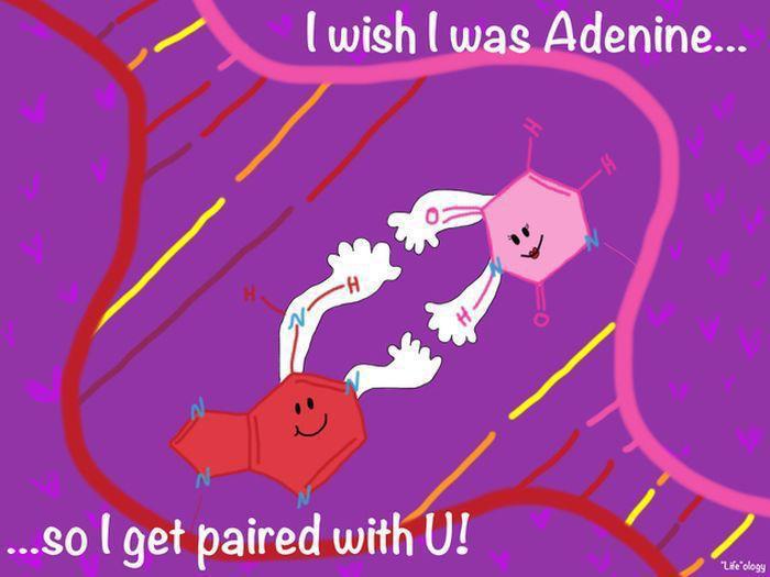 Flirting Synthesis