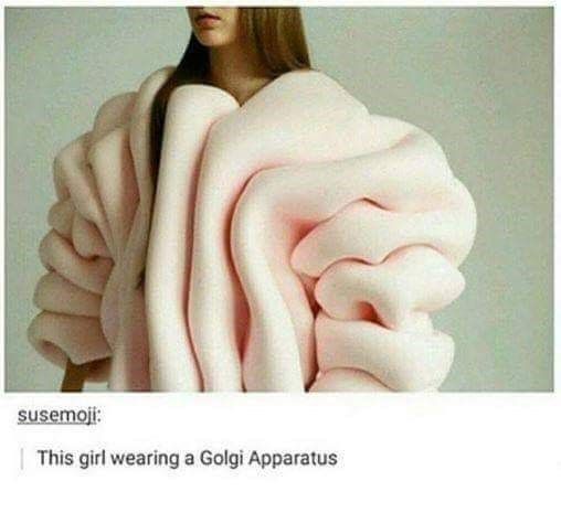 Golgi Apparatus: The Winter Collection