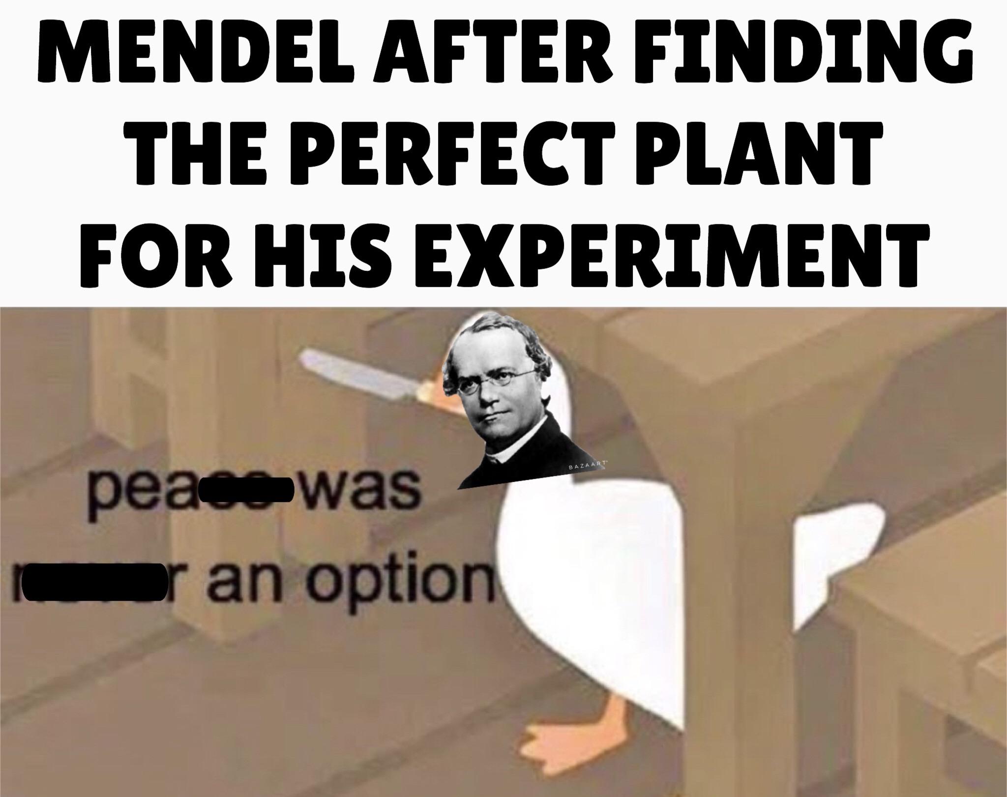 Pea Was An Option