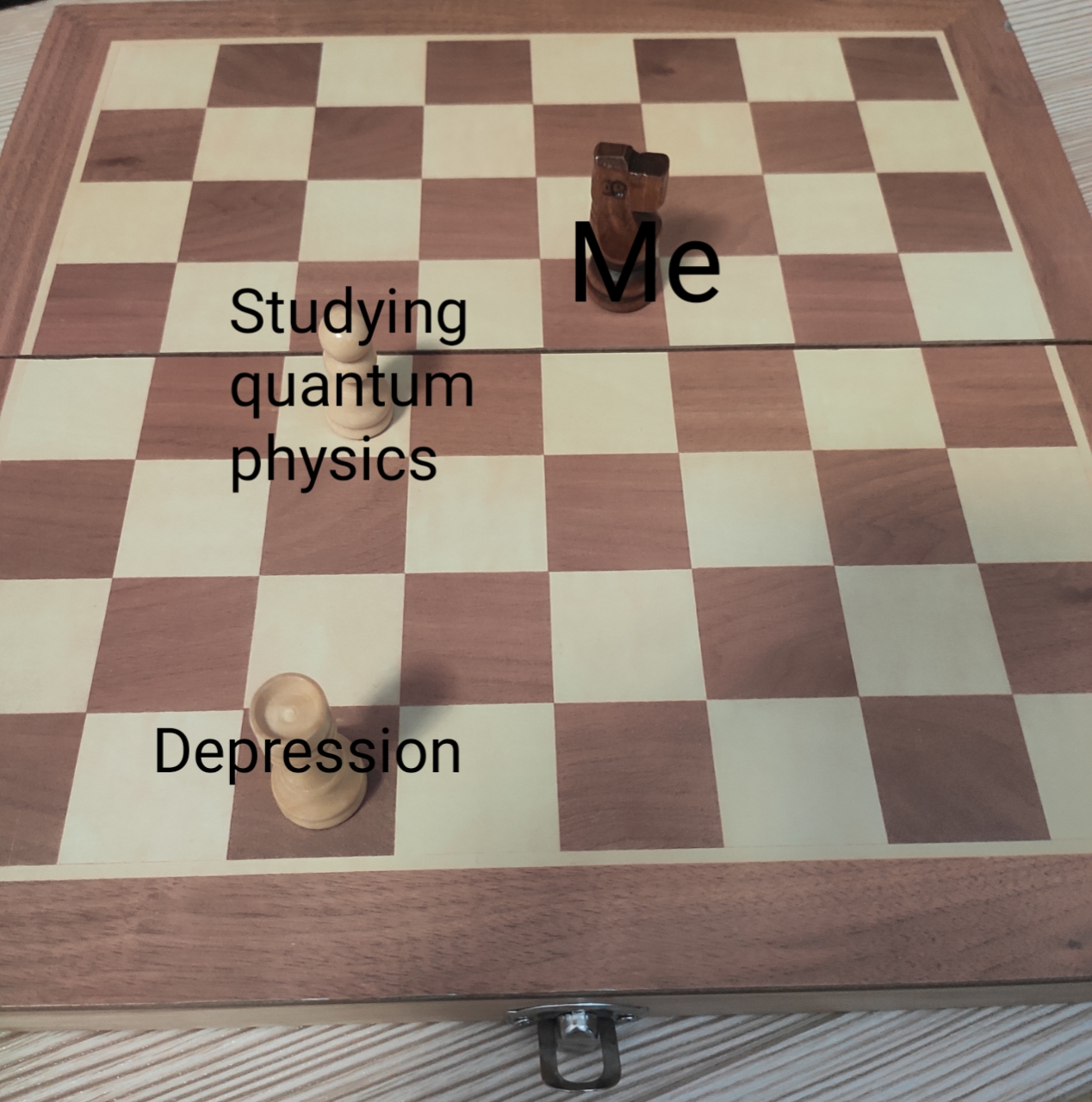 Quantum Checkmate: The Superposition Of Academic Pain