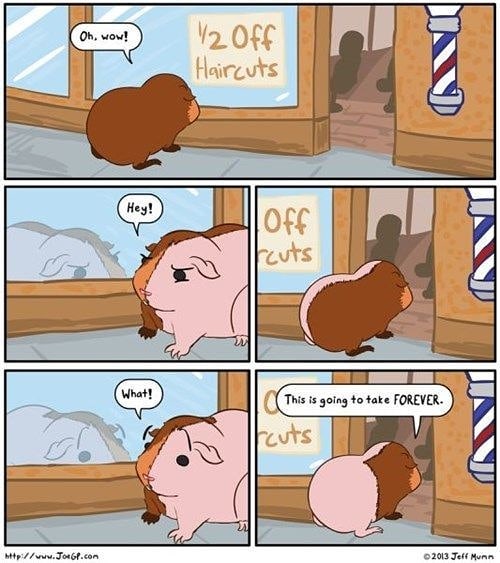 The Hairy Limits Of Infinity
