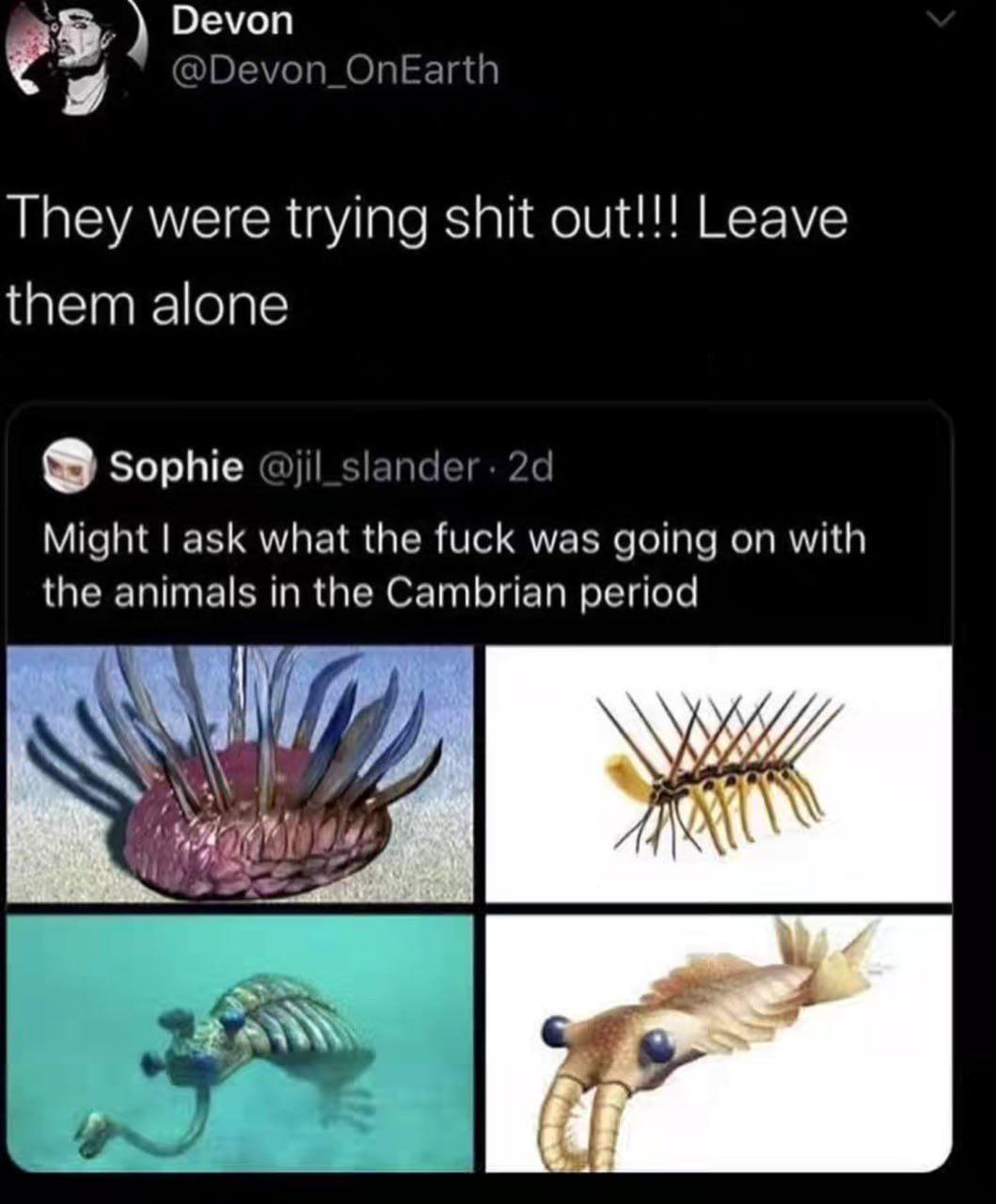 Nature's Awkward Experimental Phase