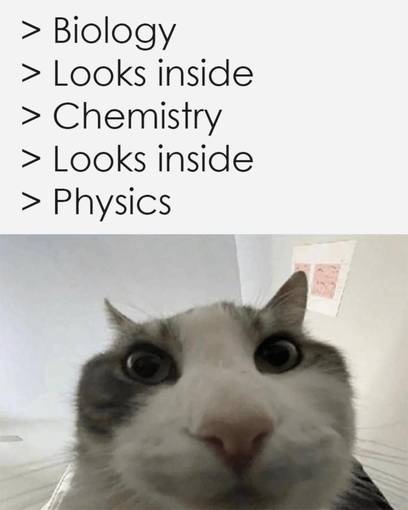 The Scientific Rabbit Hole
