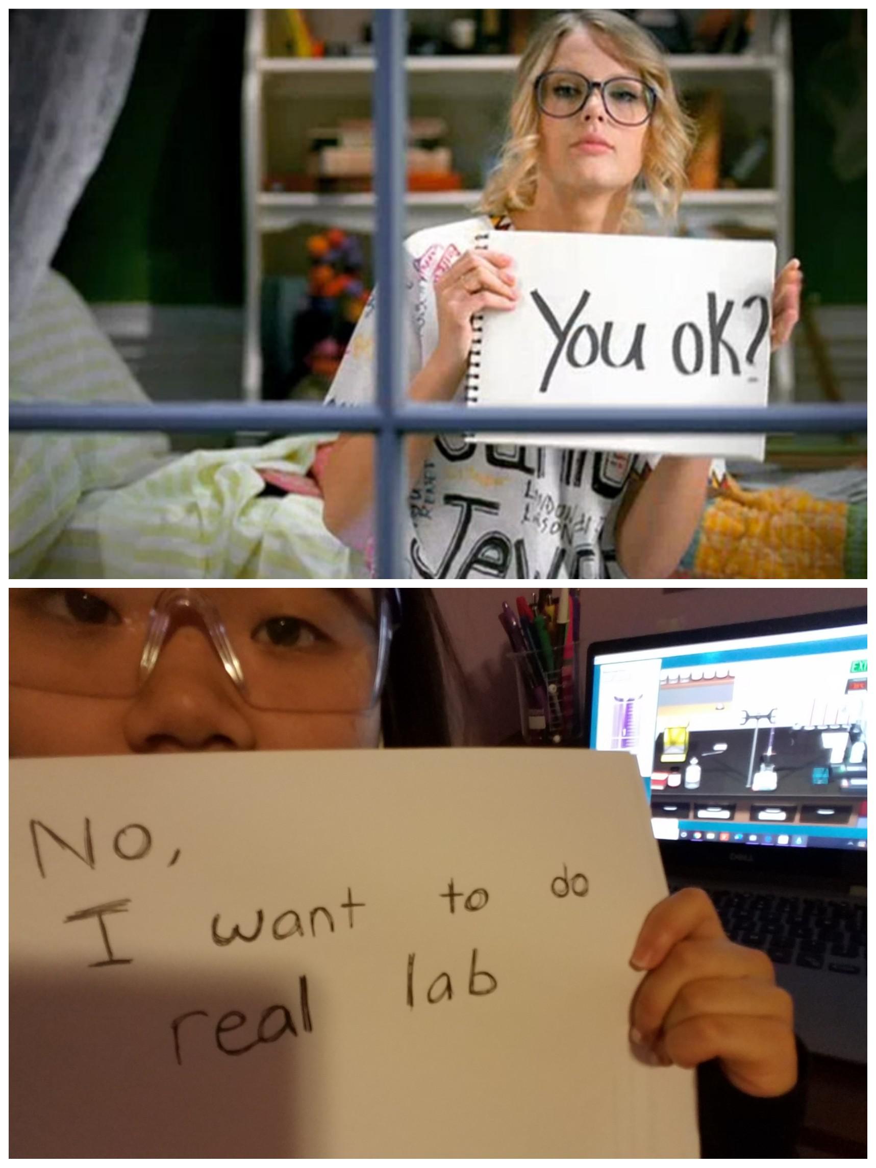 Virtual Labs: The Saddest Simulation