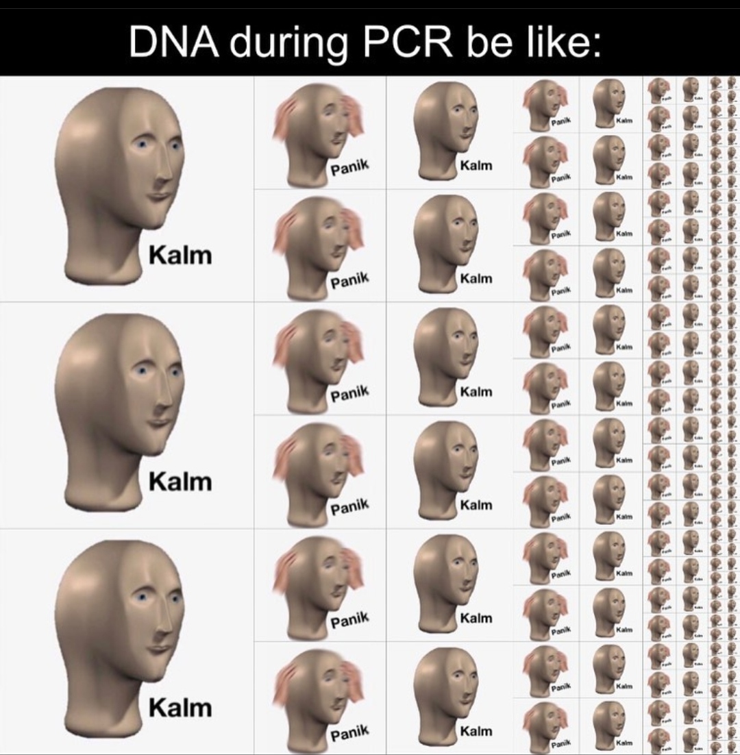 DNA's Thermal Rollercoaster Ride