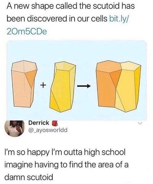 The Geometric Horror That Haunts STEM Students