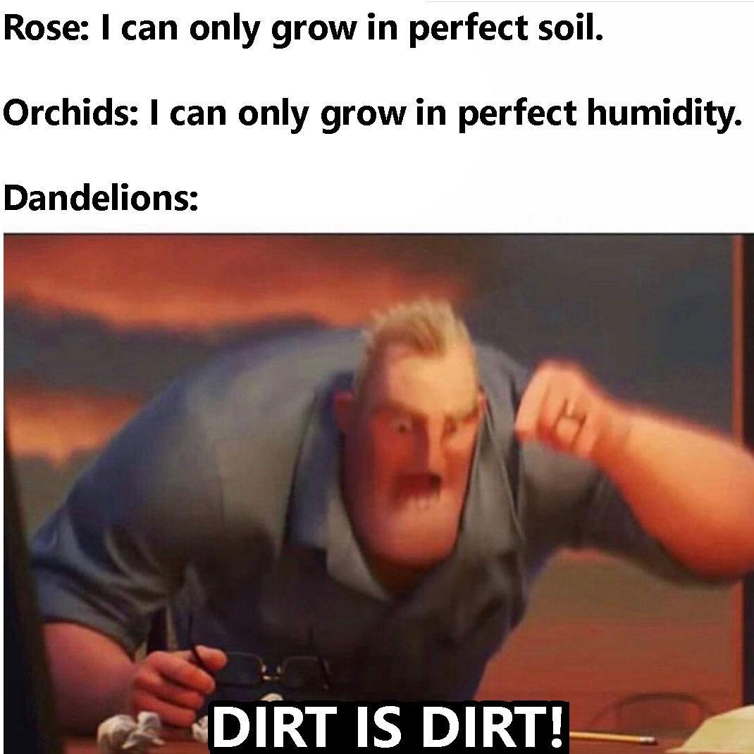 Dirt Is Dirt: Dandelion's Botanical Rebellion