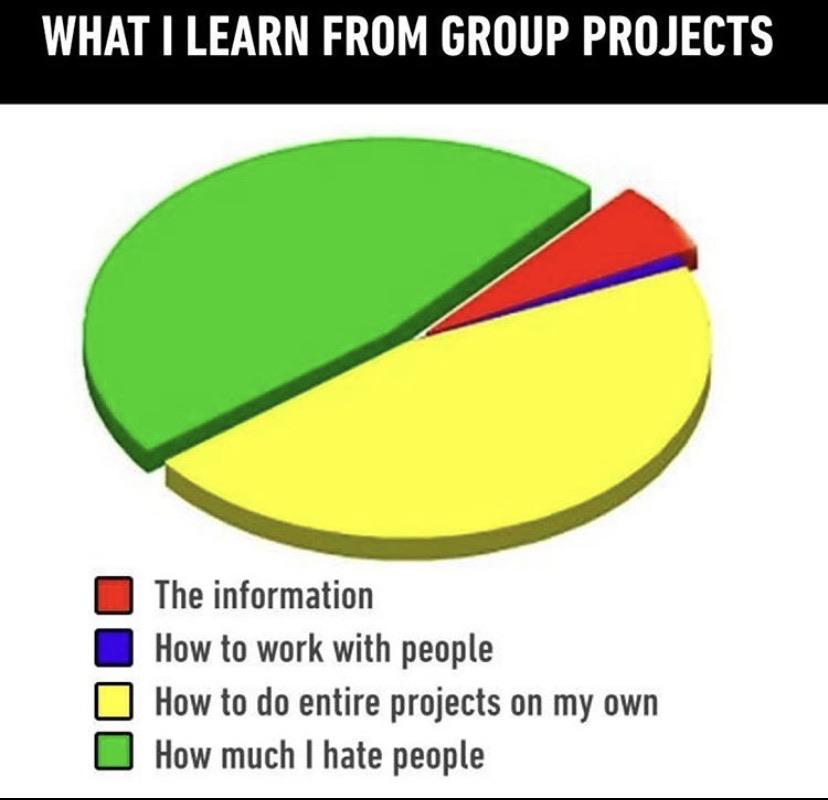 What I Learn From Group Projects