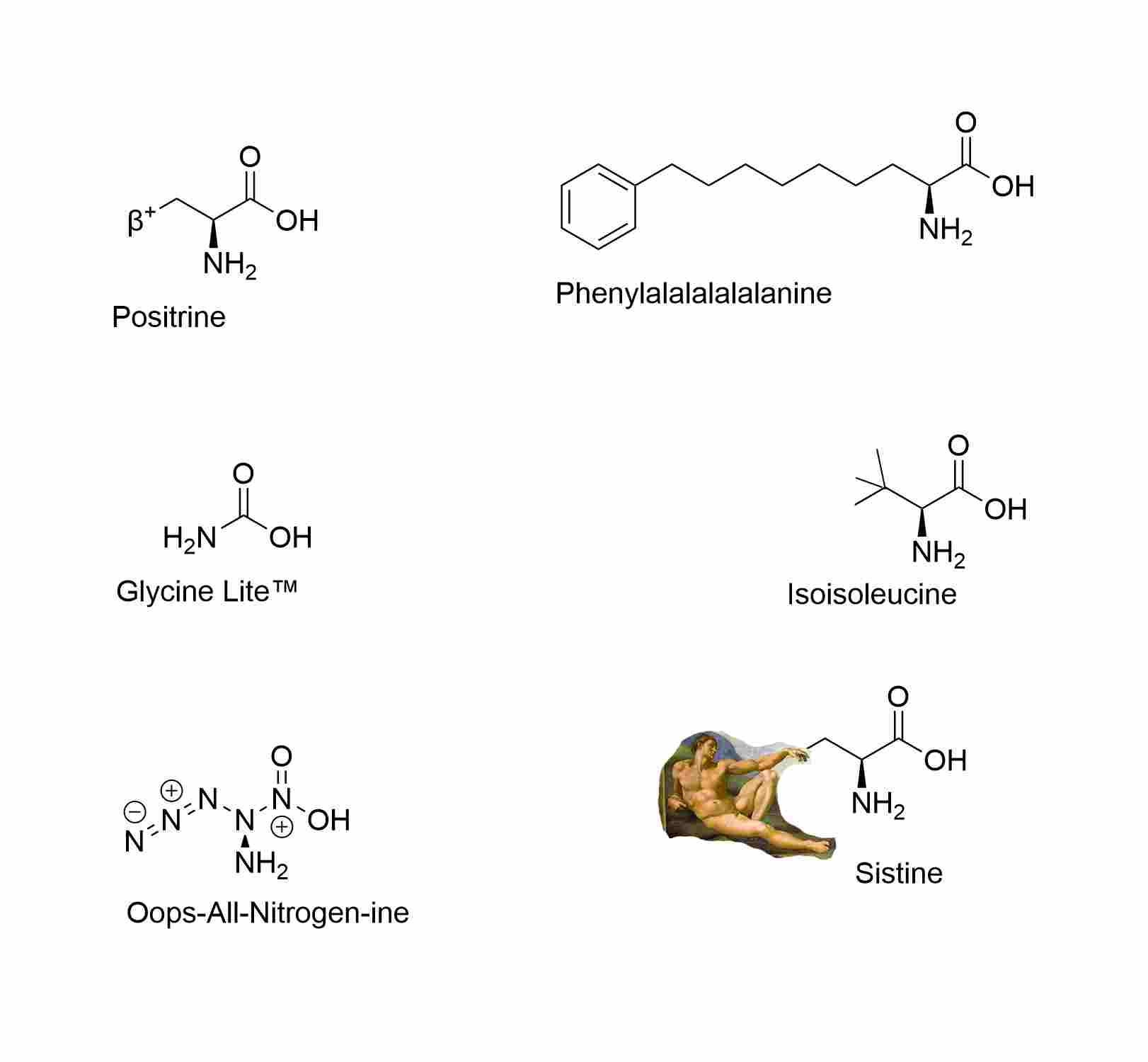 New Amino Acids Discovered!