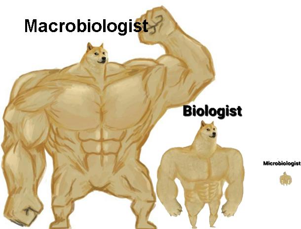 Size Doesn't Equal Significance