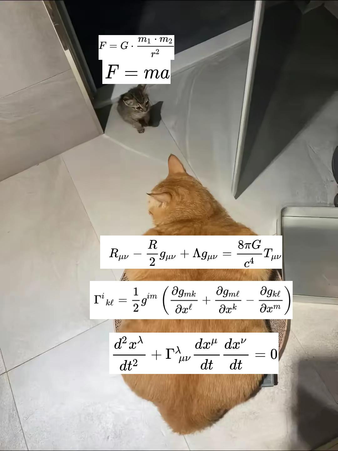The Evolution Of Physics: From Kitten To Cat