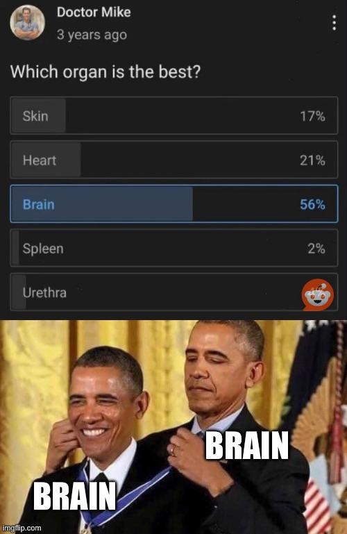 Rigged Elections: When The Brain Counts Its Own Votes
