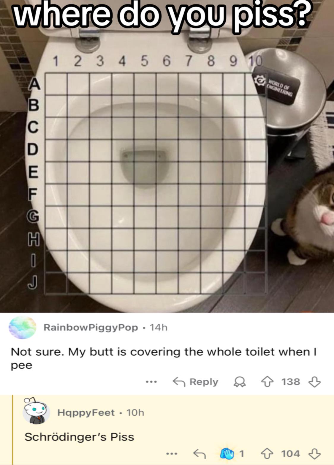 Battleship: Quantum Bathroom Edition