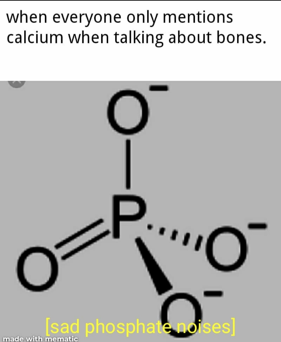 Justice For Phosphate: The Forgotten Bone Builder