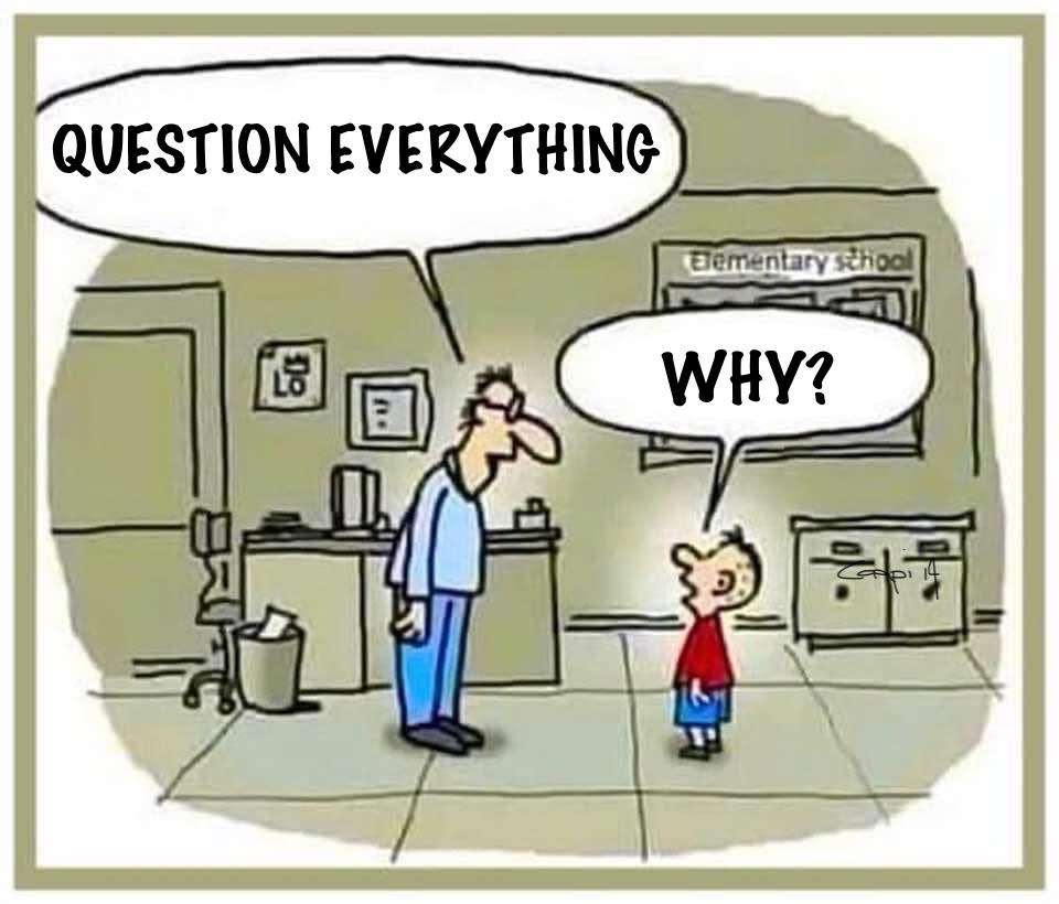 Question Everything... Except My Sanity