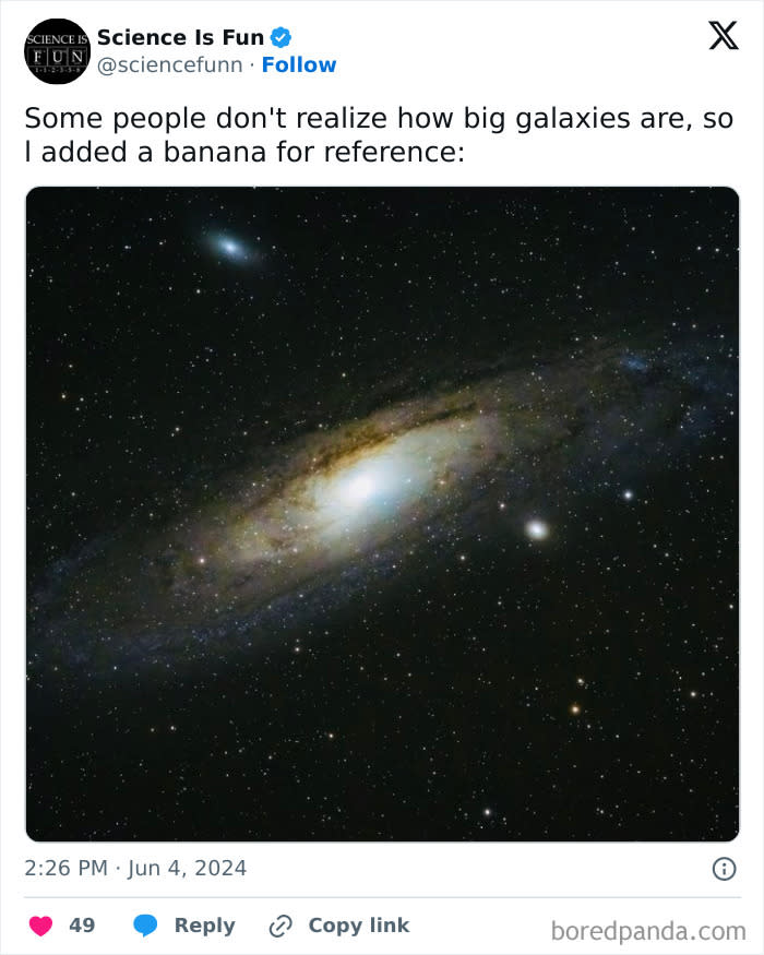 The Scale Is Perfect. Right?