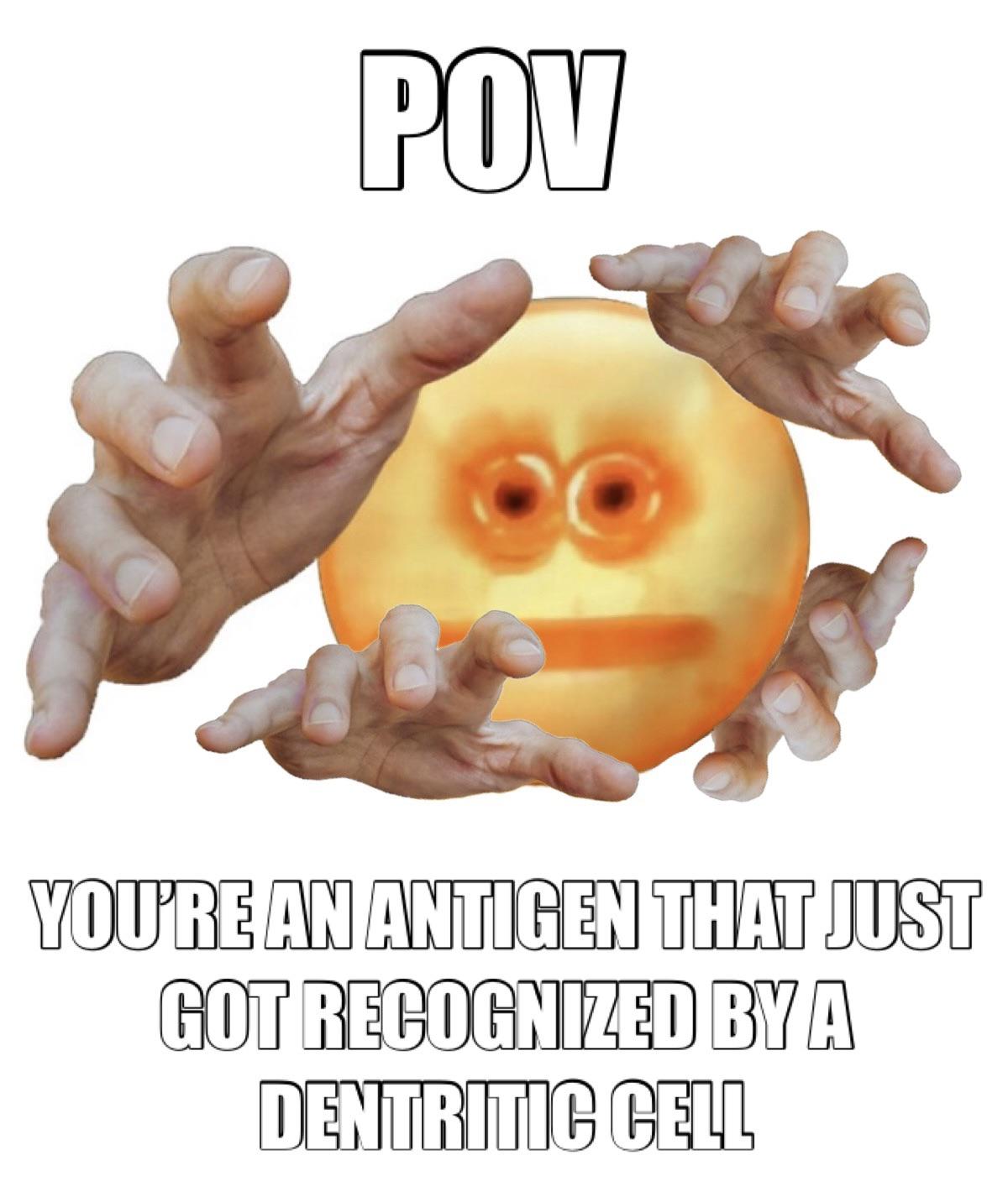 POV: You're An Antigen That Just Got Recognized By A Dendritic Cell