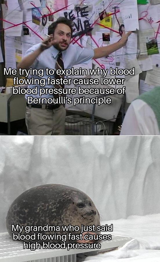 First Semester Knowledge Versus Grandma's Wisdom
