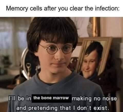 Memory Cells: The Undercover Agents Of Your Immune System