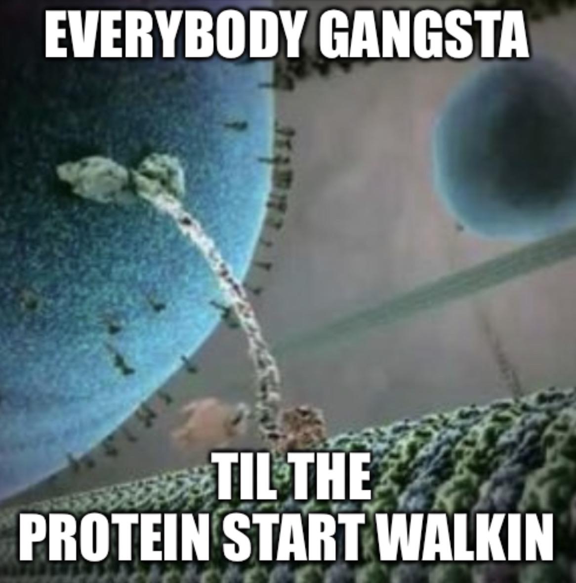 Everybody Gangsta Till The Protein Starts Walkin