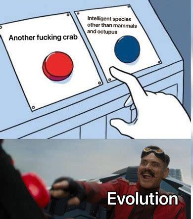 Evolution's Crabby Sense Of Humor