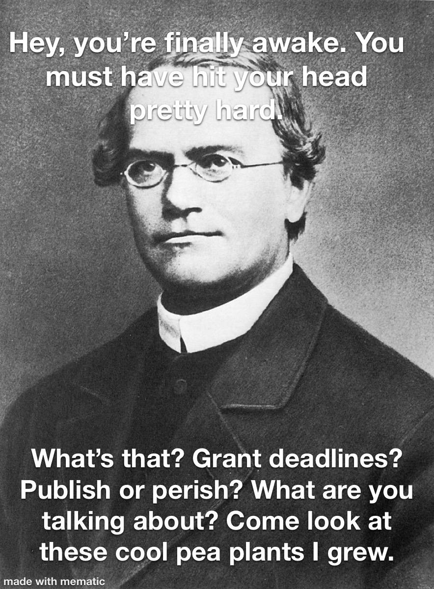 Maybe I Need A Radical Career Change?