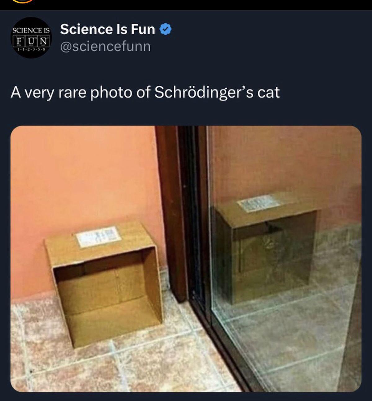 Schrödinger's Invisible Pet