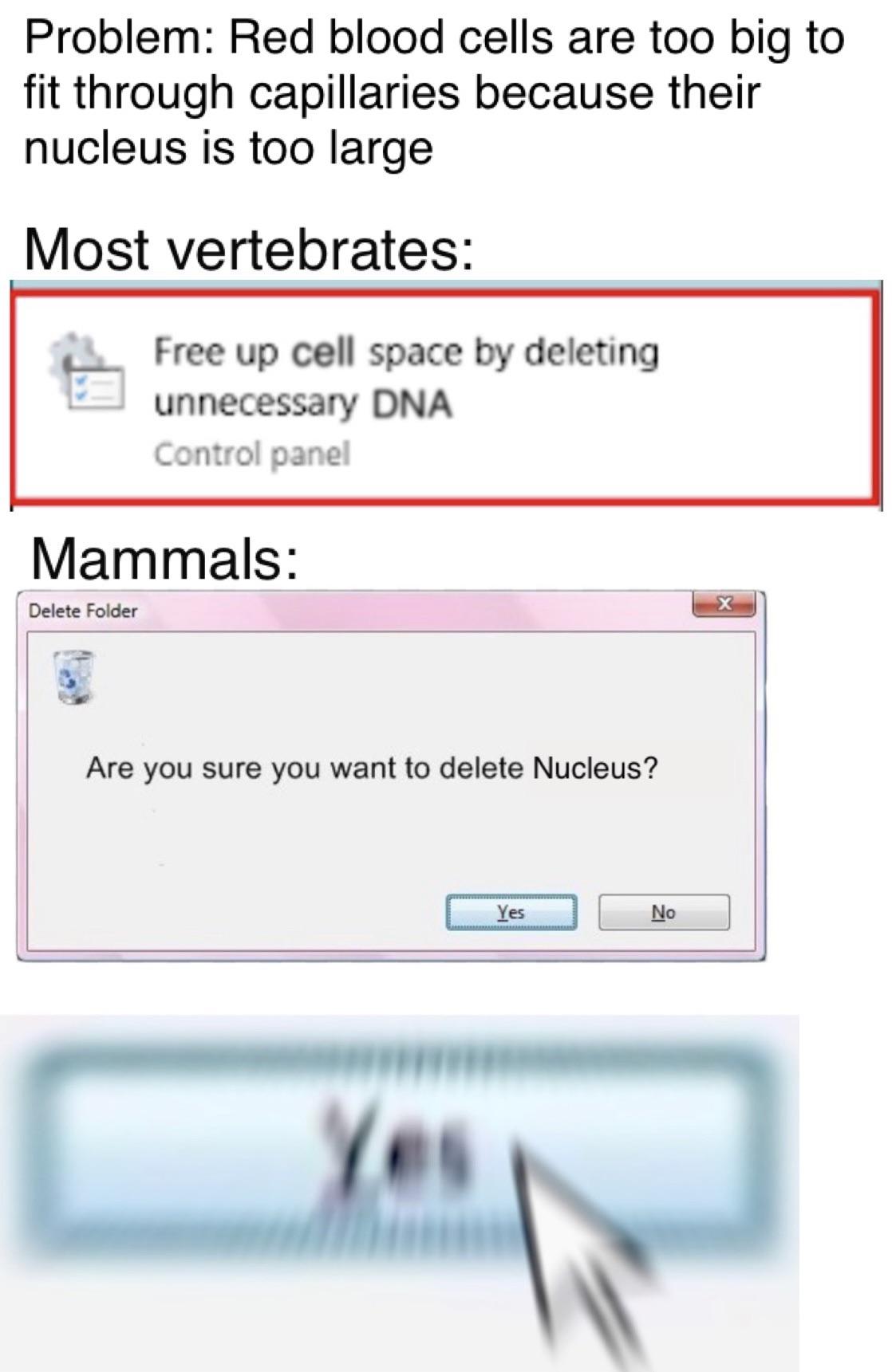 Nucleus Looks Kinda Sus Ngl