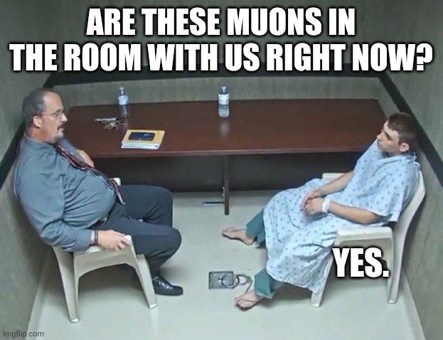 Are These Muons In The Room With Us Right Now?