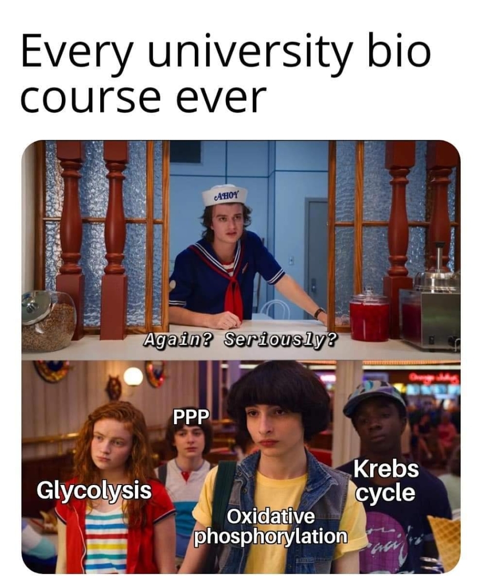 The Metabolic Pathway Gang Never Leaves