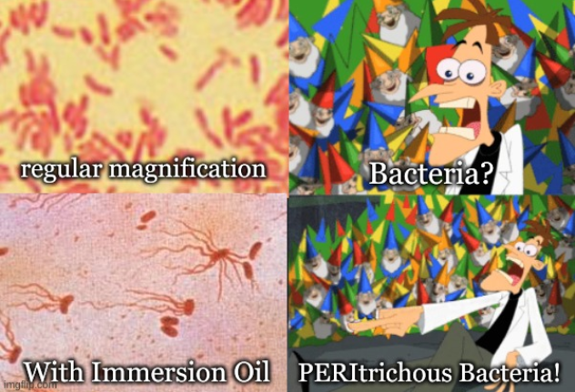 The Microscopy Enlightenment