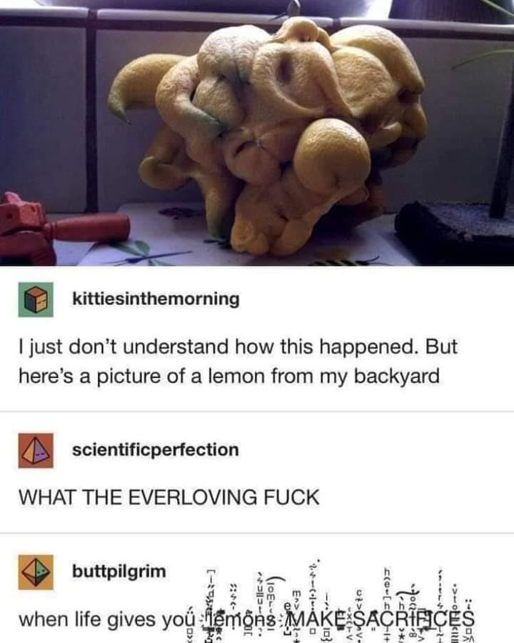 When Life Gives You Eldritch Lemons