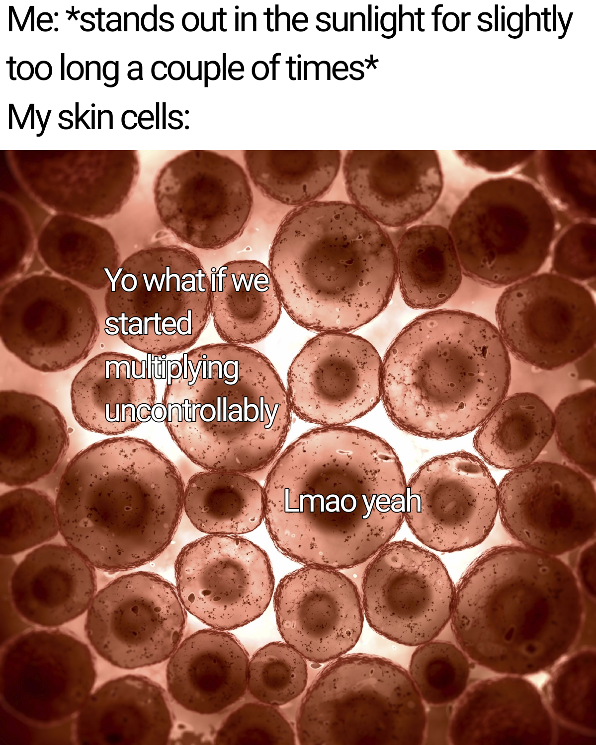 Those Cheeky Lil Cellular Rebels