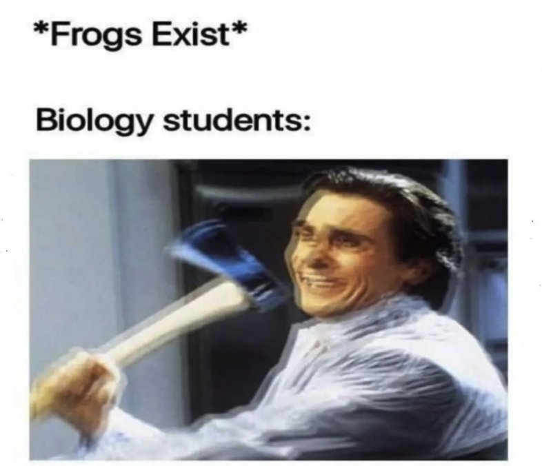 Frog Dissection Frenzy
