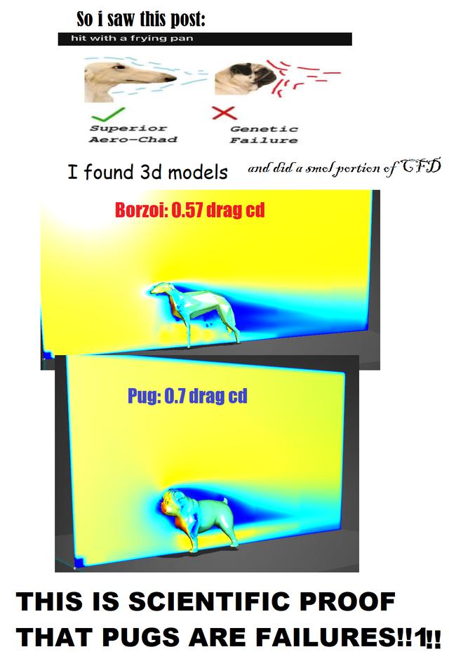 Let Me Solve Your Dog Debate With Computational Fluid Dynamics
