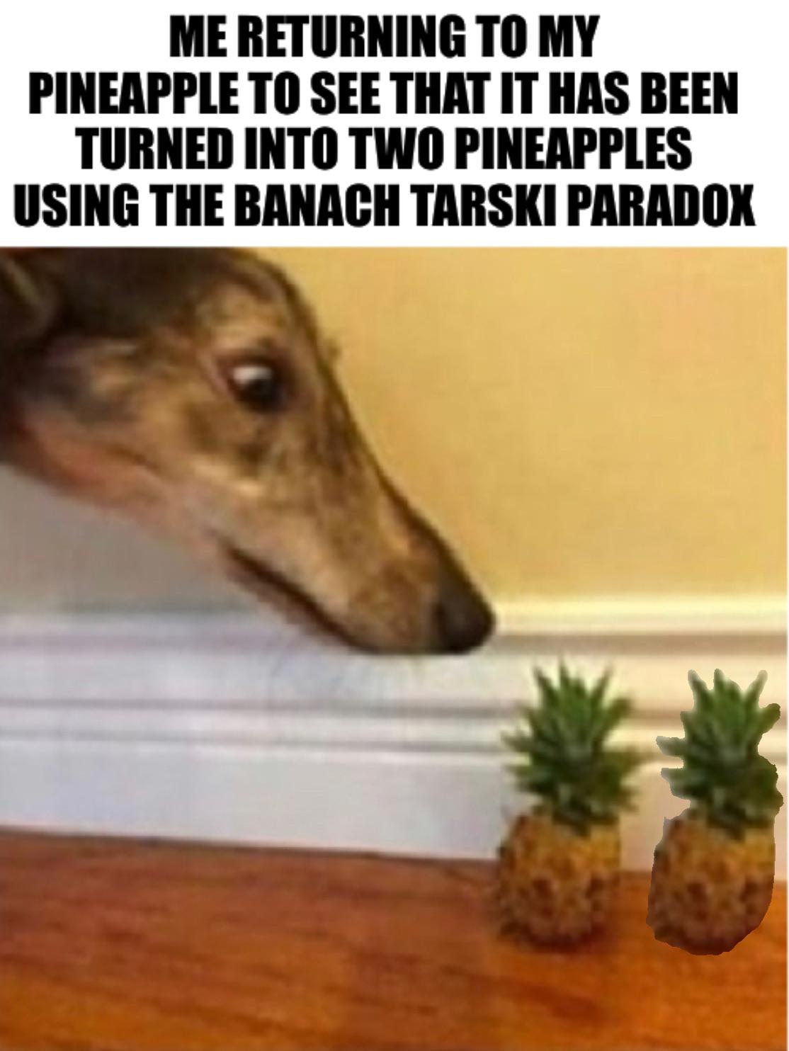 More Pineapples From Nothing