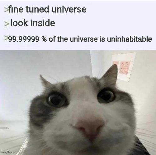 The Fine-Tuned Universe: A Cosmic Practical Joke