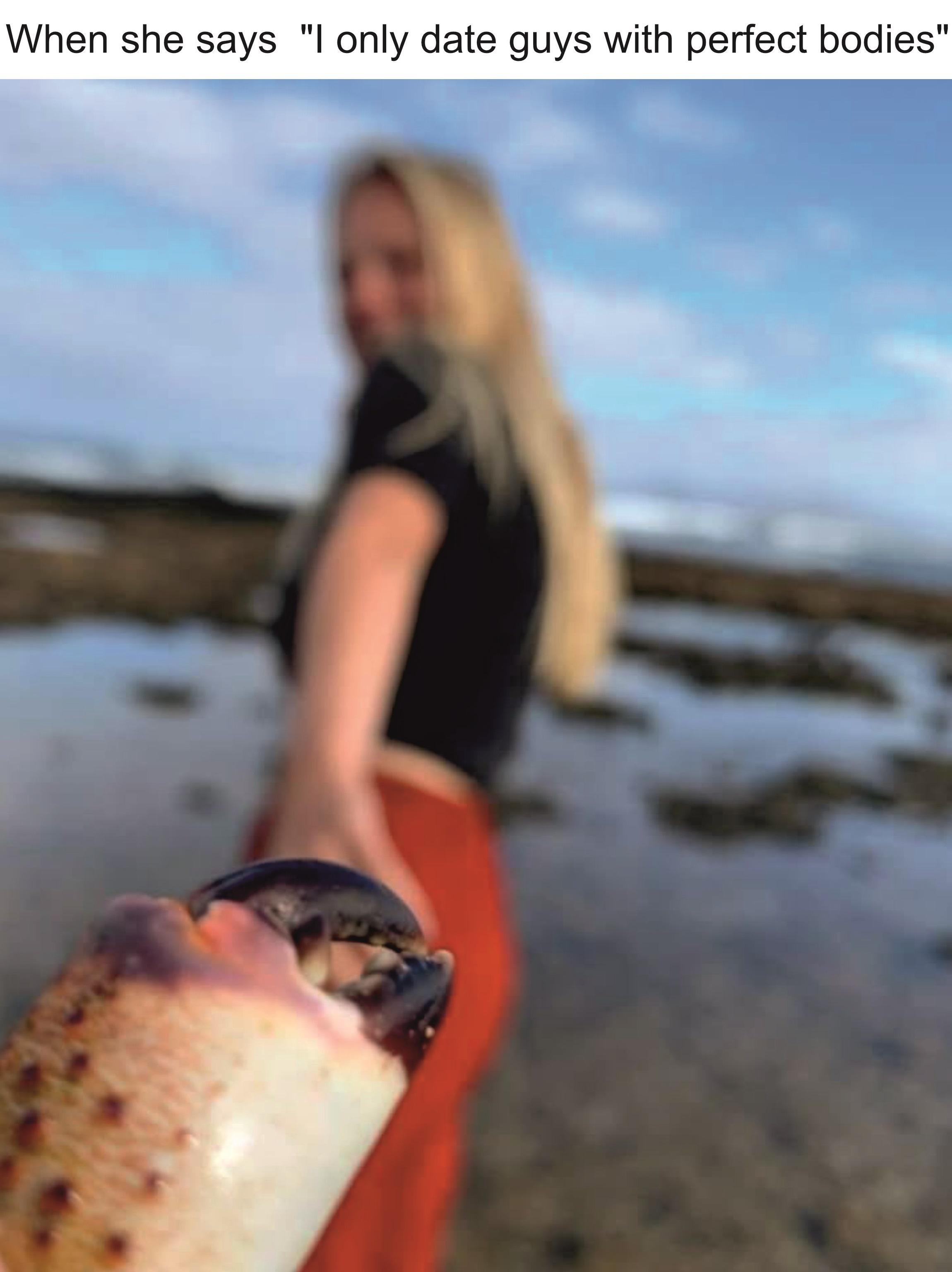 Return To Crab: Nature's Perfect Design